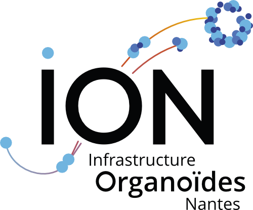 logo ION