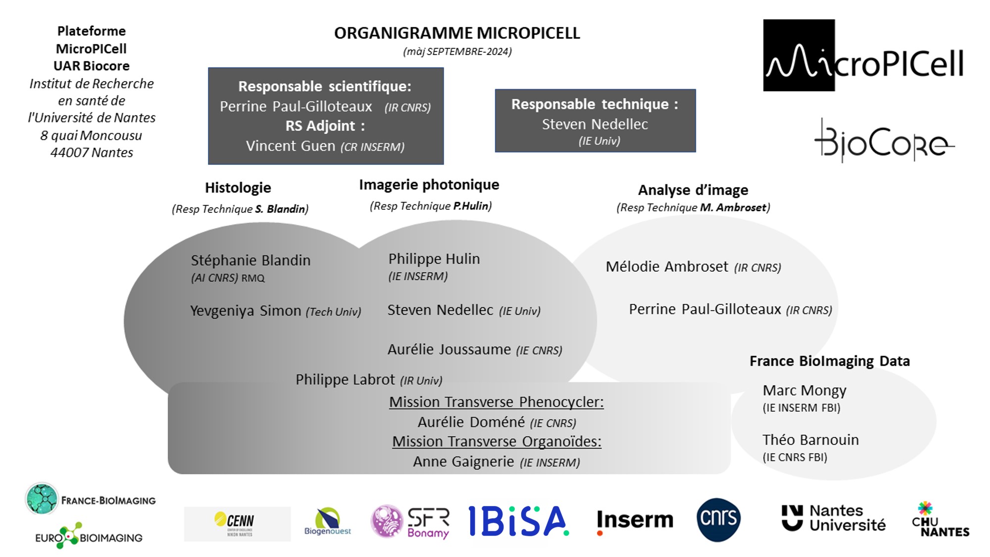 organigramme PF