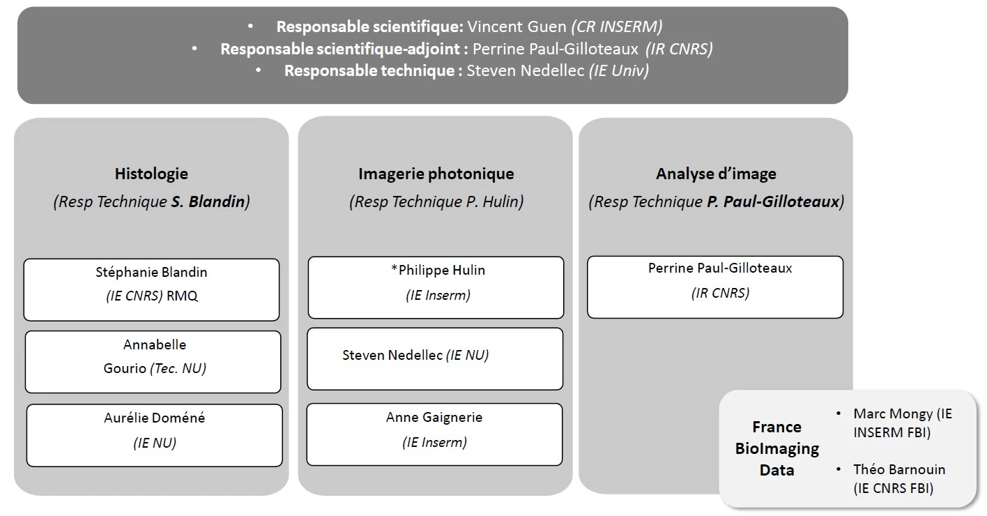 organigramme-2026